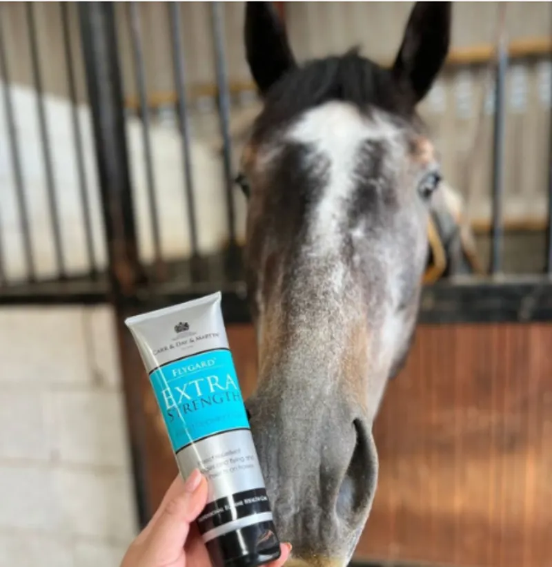 Carr Day Martin Flygard Extra Strength Gel - 250ml-1